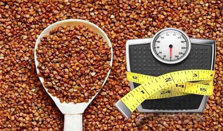 A type of grain diet reduces weight